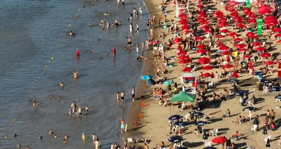 Podrían implementar la "bandera roja" en una playa santafesina por mordeduras de palometas