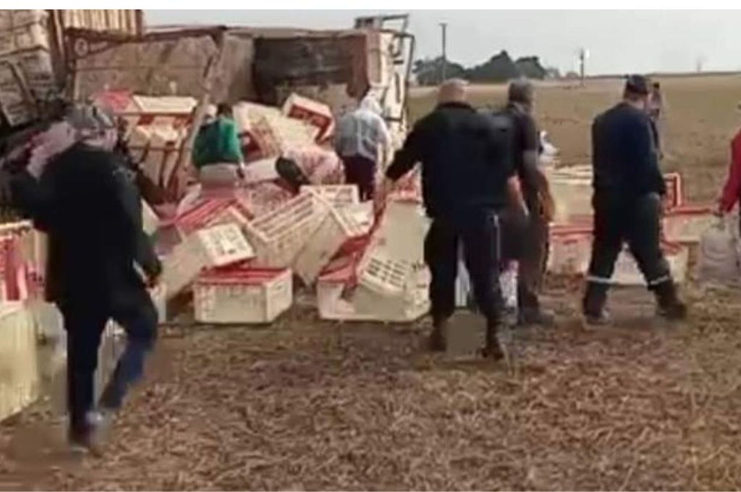 Vecinos saquearon un camión con pollos