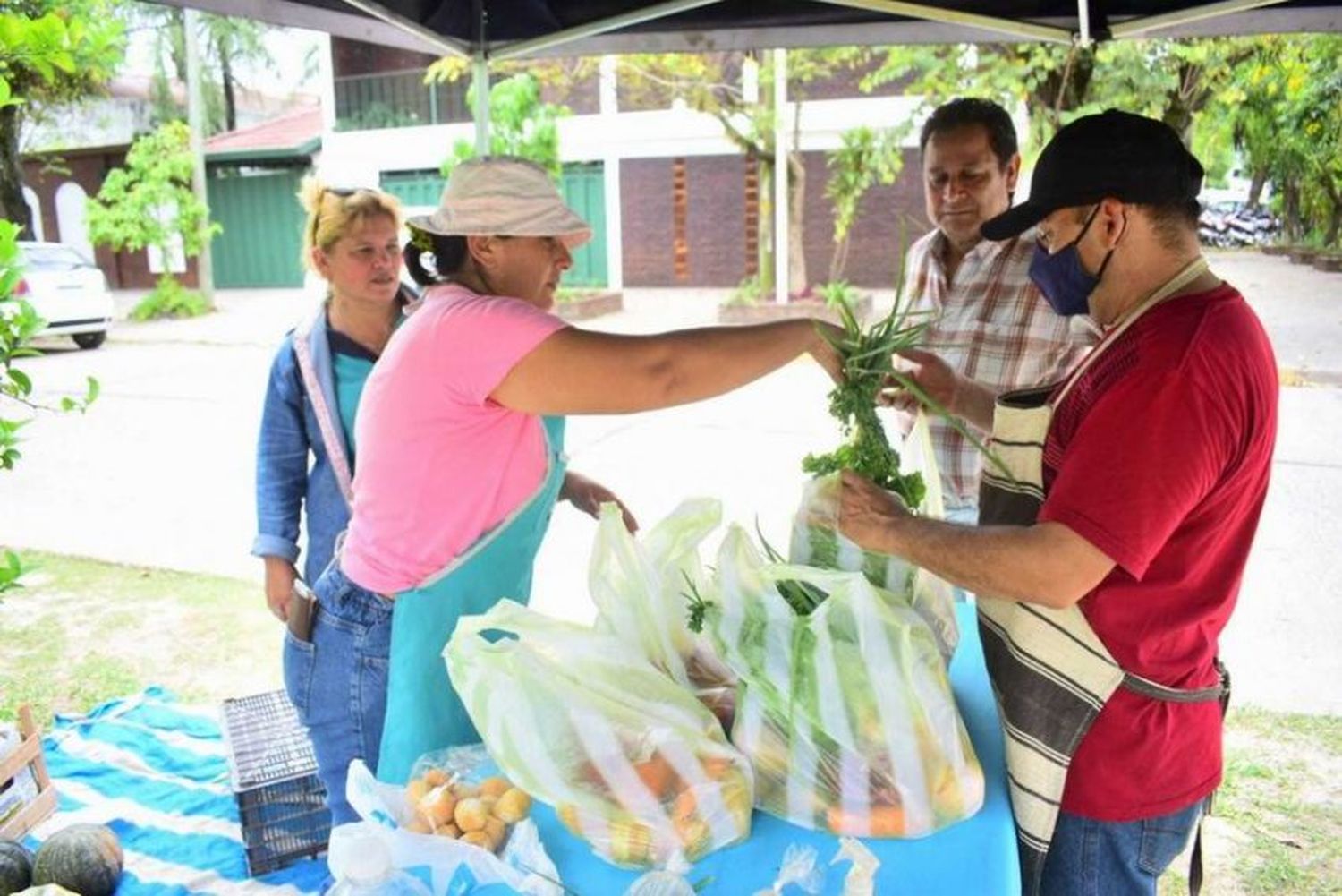 Excelente margen de ventas de los bolsones saludables