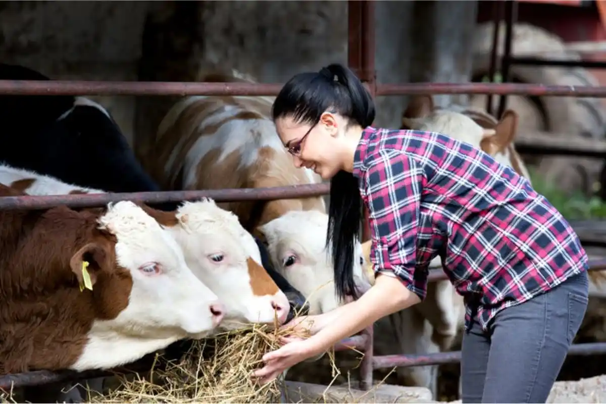 Lanzan un programa con financiamiento para mujeres productoras del agro