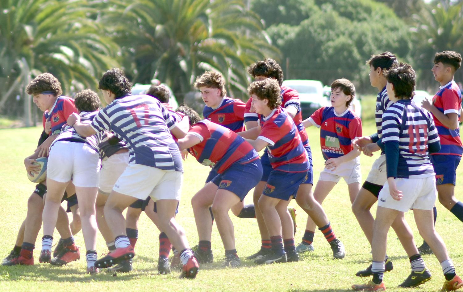 La M15, a la espera de la definición del Torneo de Plata