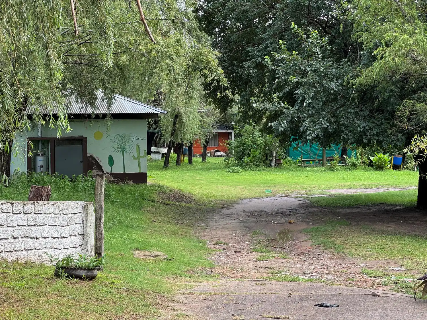 En el predio el pasto está cortado y se nota que hay mantenimiento.