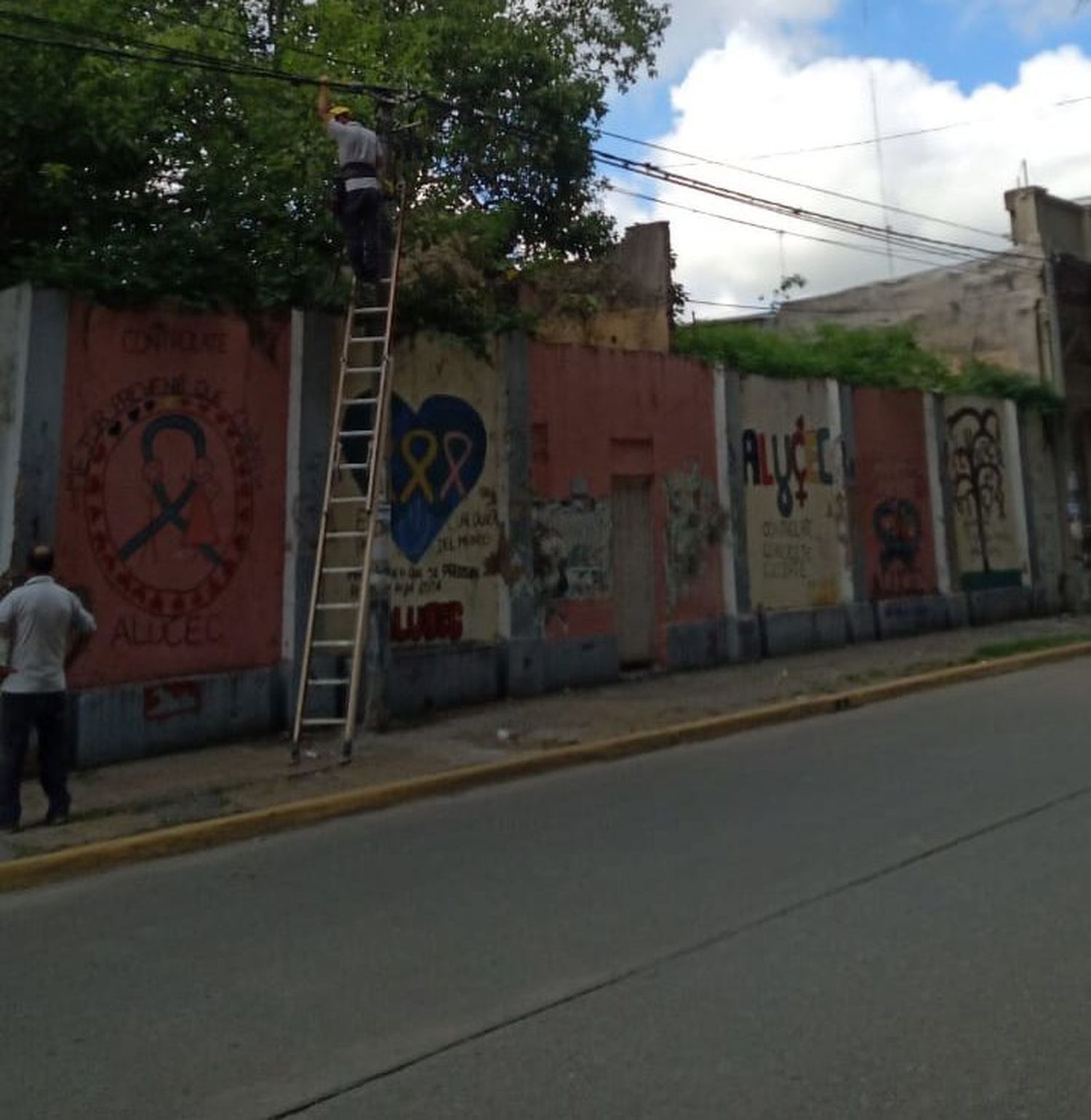 “La mugre y las plantas asoman por los tapiales”