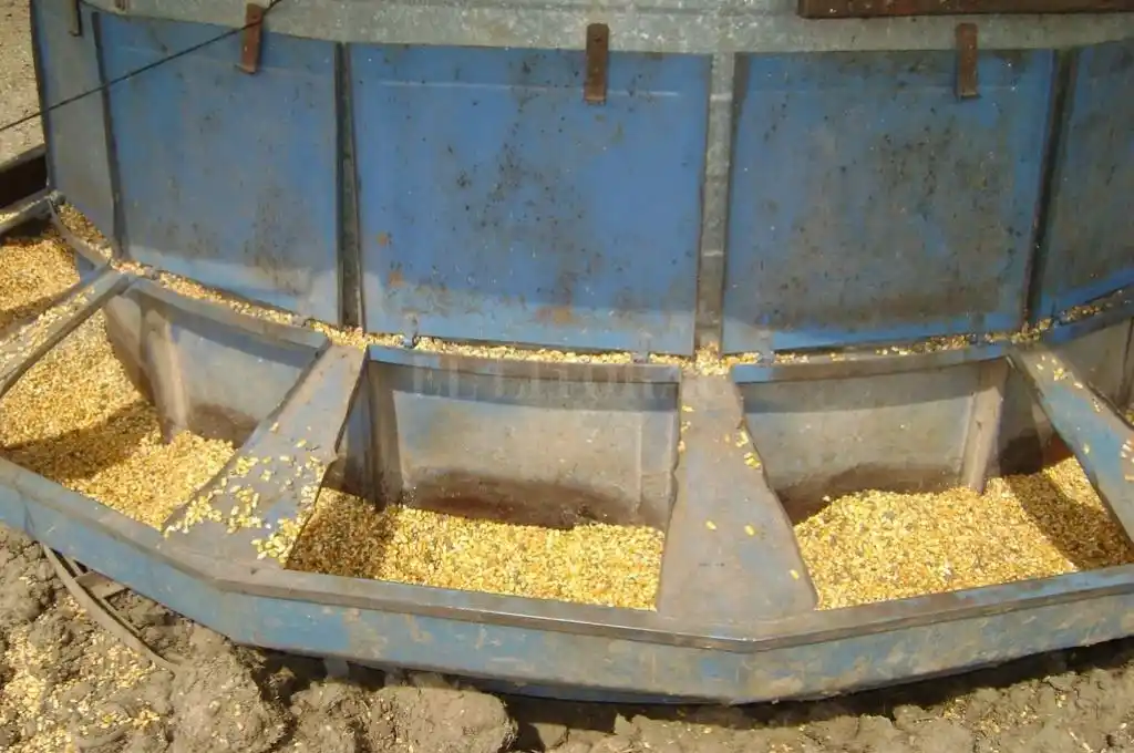 Maíz: fin de ciclo e interrogante para la campaña 2020/2021