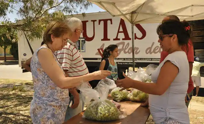 Campana: Llega el Programa "Frutas y Verduras para Todos"