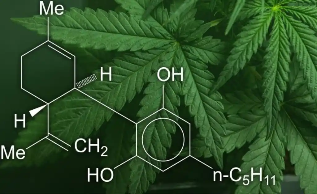 La ANMAT aprobó el primer producto con cannabis en el país