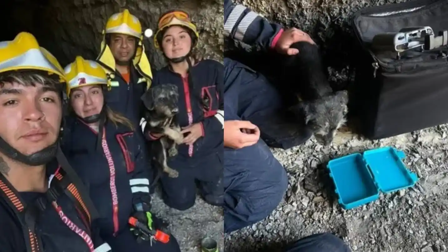 Poroto fue rescatado sano y salvo luego de un operativo de alto riesgo en una zona minera del norte neuquino.