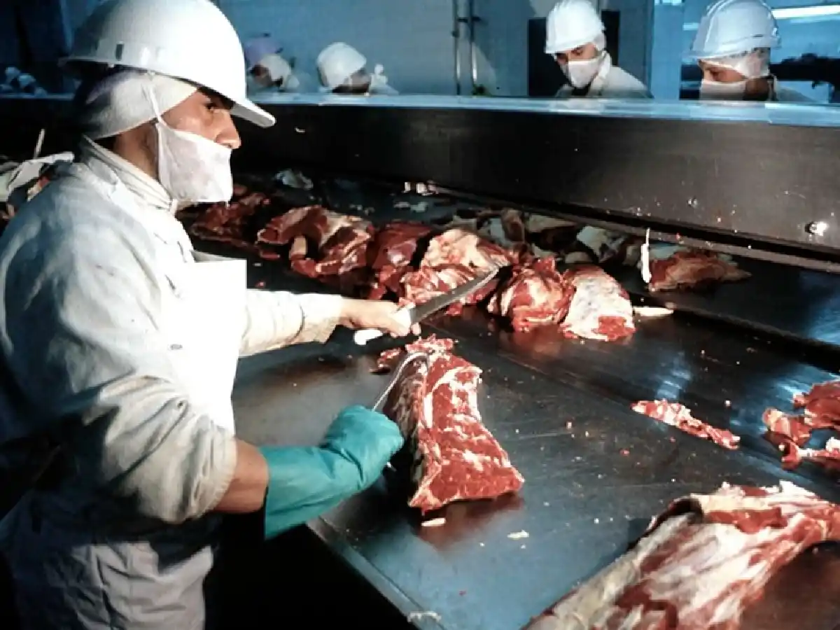 Duras críticas a las restricciones sobre las exportaciones de carnes: las consideran "nefastas"