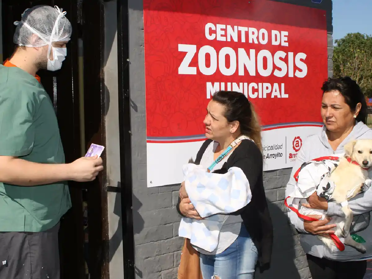 Suspenden castraciones de mascotas en Arroyito 