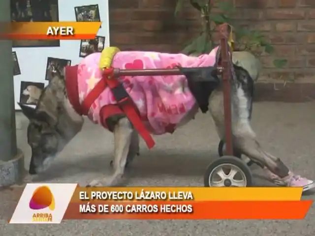 El proyecto Lázaro lleva más de 600 carros hechos