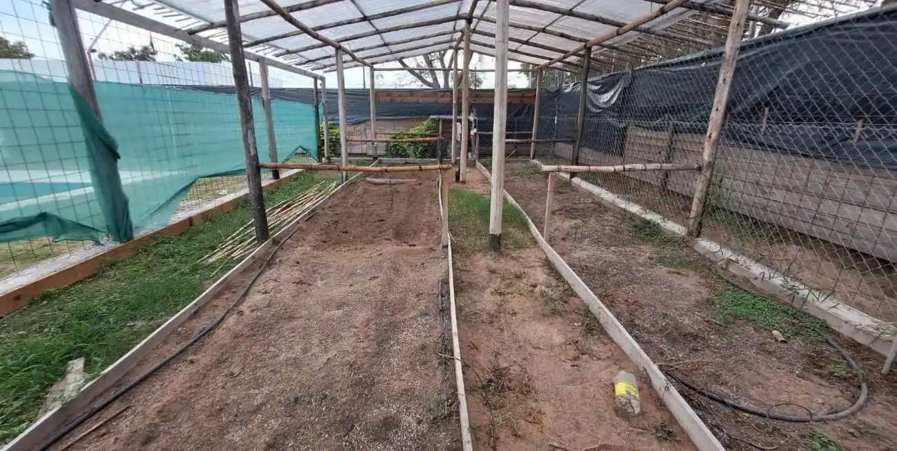 Durante el operativo fueron incautados diversos elementos y también imágenes de cámaras de seguridad del vivero y también de casas vecinas, para poder analizar los movimientos.