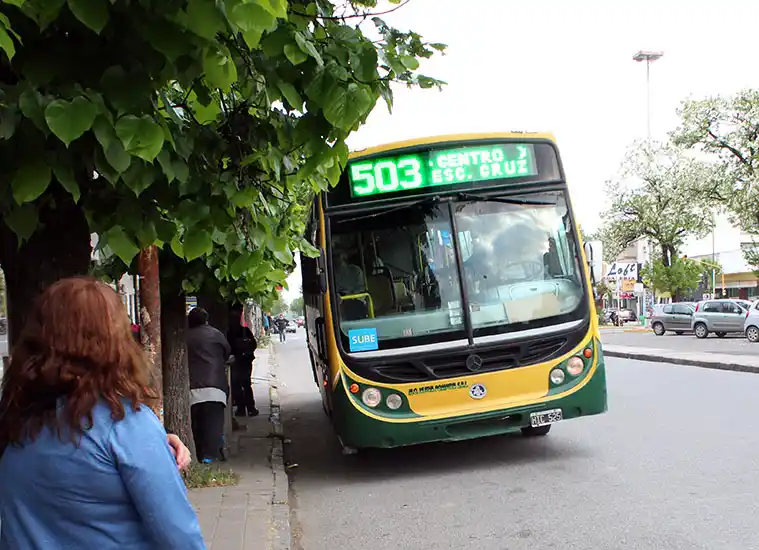 Se reanuda el servicio de colectivos