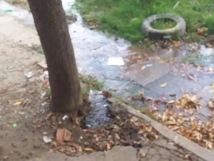 Caño roto en Saavedra al 2000