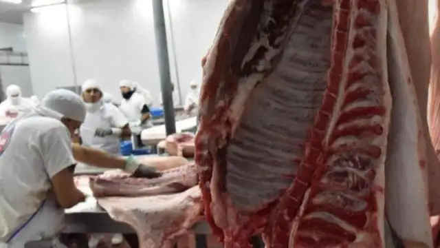 Aumentan a 32 kilogramos el límite a partir del cual el manejo de carne deberá ser mecanizado