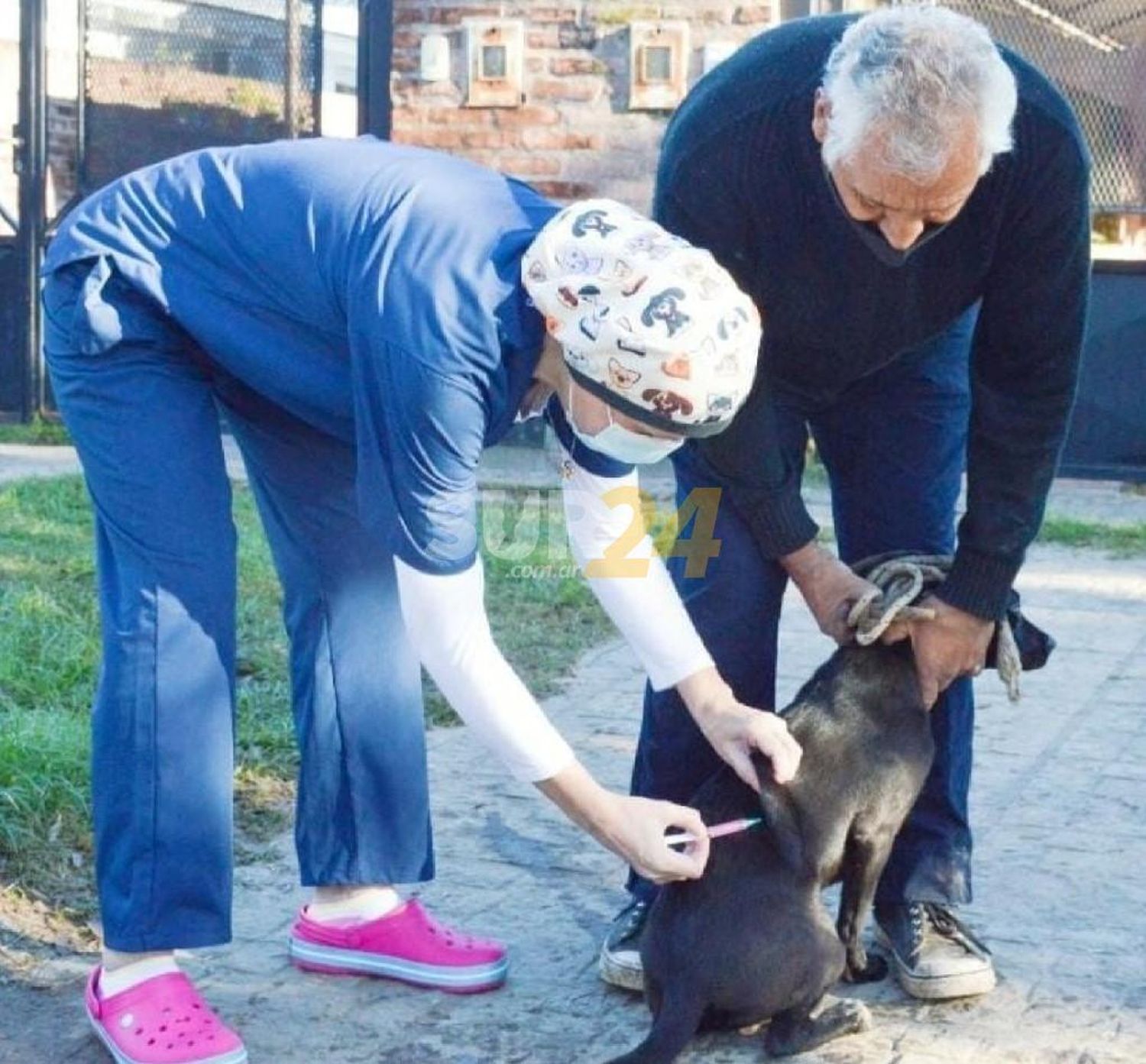 El Municipio activa la vacunación antirrábica en los barrios Favaloro y Santa Rosa