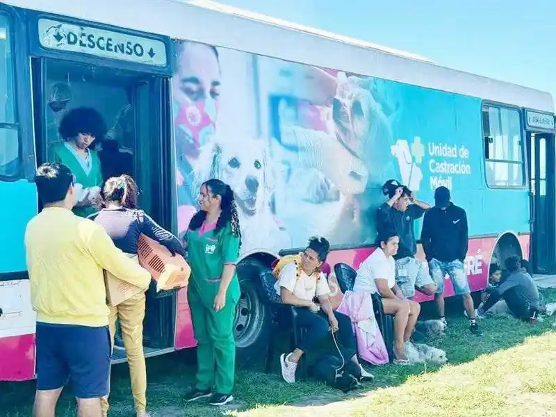 El castramóvil municipal realizará en el 
barrio 28 de Junio nuevo operativo sanitario