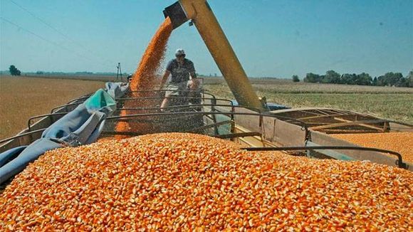 Aporte del campo por retenciones será récord en 2022, pero menor a lo estimado
