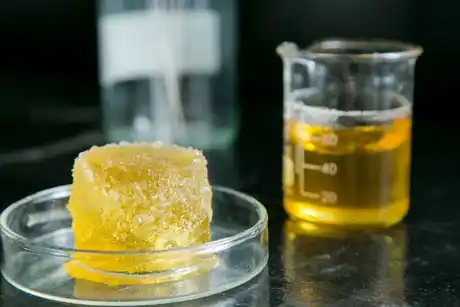 Especialistas del INTI buscan eliminar la utilización de grasas perjudiciales para la salud en alimentos