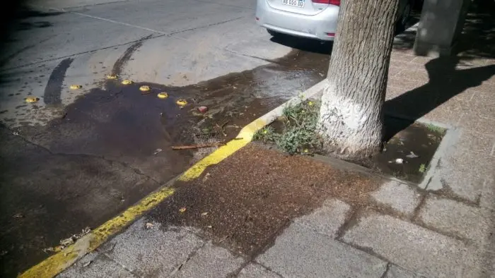 Pérdida de agua en 8 y 89