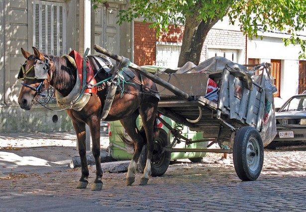 El martes se debatirá la tracción a sangre en Gualeguaychú