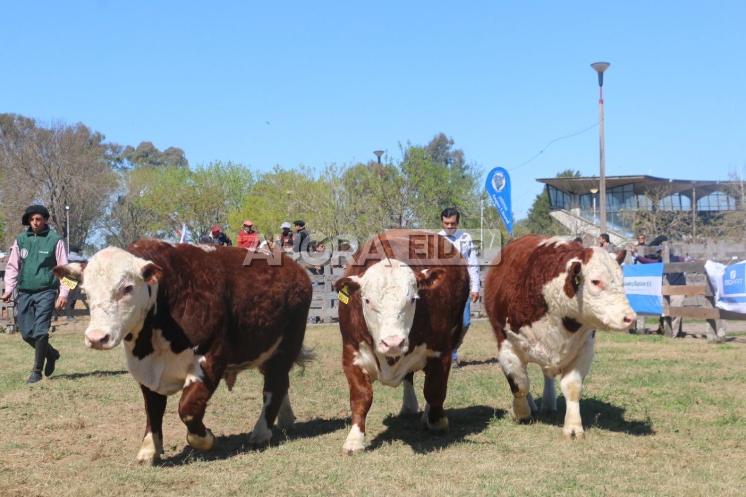 expo rural gualeguaychú 2022 - 2