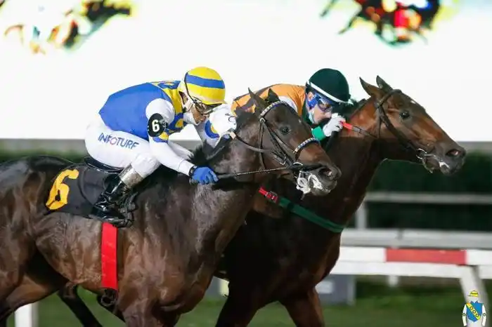 MARTES 31:  Actividad en el Hipódromo de La Plata