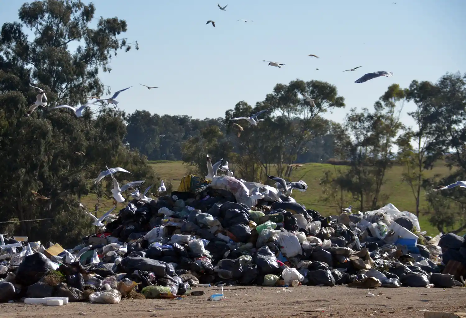 Qué datos existen sobre los basurales a cielo abierto en la Argentina