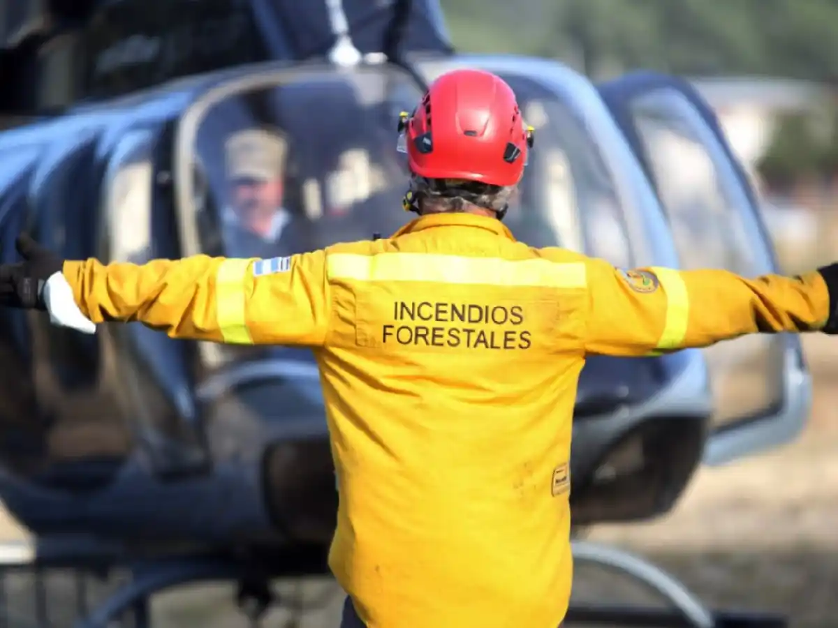 Advierten que en El Bolsón "hay 10 denuncias por incendios por día" y en Bariloche unas 30