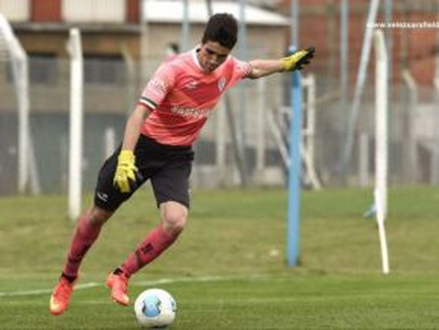 El arco de Vélez tiene futuro