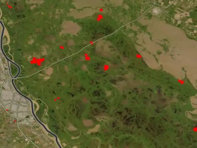 Todo ocurre en un escenario donde el fuego funciona como una aceleración del deterioro. No solo destruye vegetación: rompe ciclos, desplaza fauna, arrasa refugios, altera el suelo. Crédito: Gentileza.