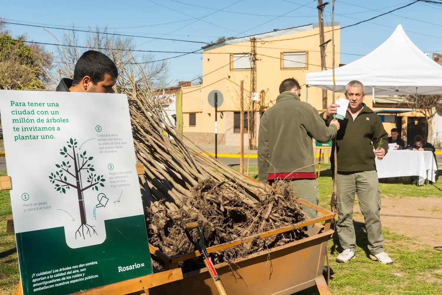 Rosario festeja la Semana del Árbol