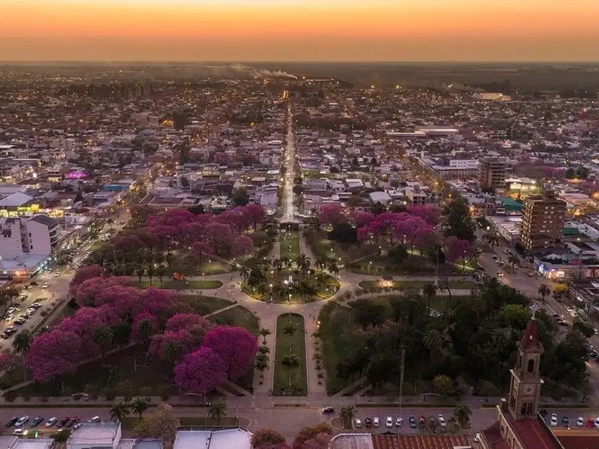 Propone plantar un millón de ejemplares en 10 años, con participación ciudadana y enfoque ambiental integral.