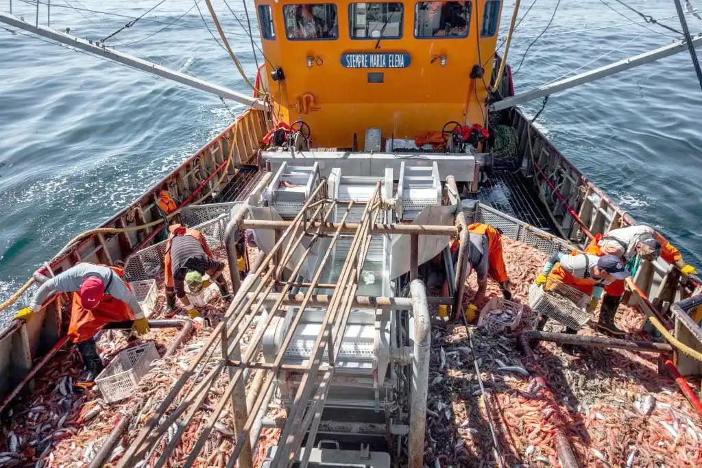 Compleja. Situación atraviesa el mercado internacional de langostinos