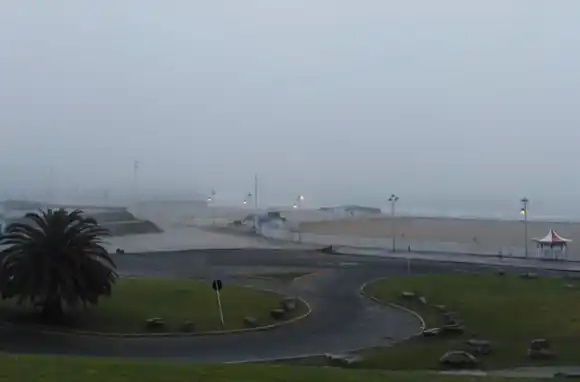 Niebla, lluvias matinales y frío en Mar del Plata