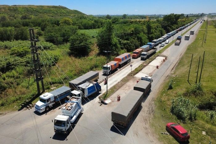Trigo récord, maíz sólido y soja en alerta: el mapa local de los granos