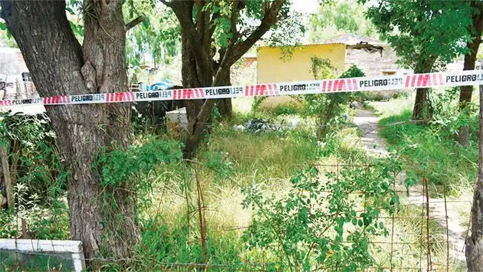 Datos surgidos de la autopsia comprometerían a la madre