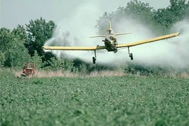 Ni fitosanitarios ni agroquímicos, son agrotóxicos
