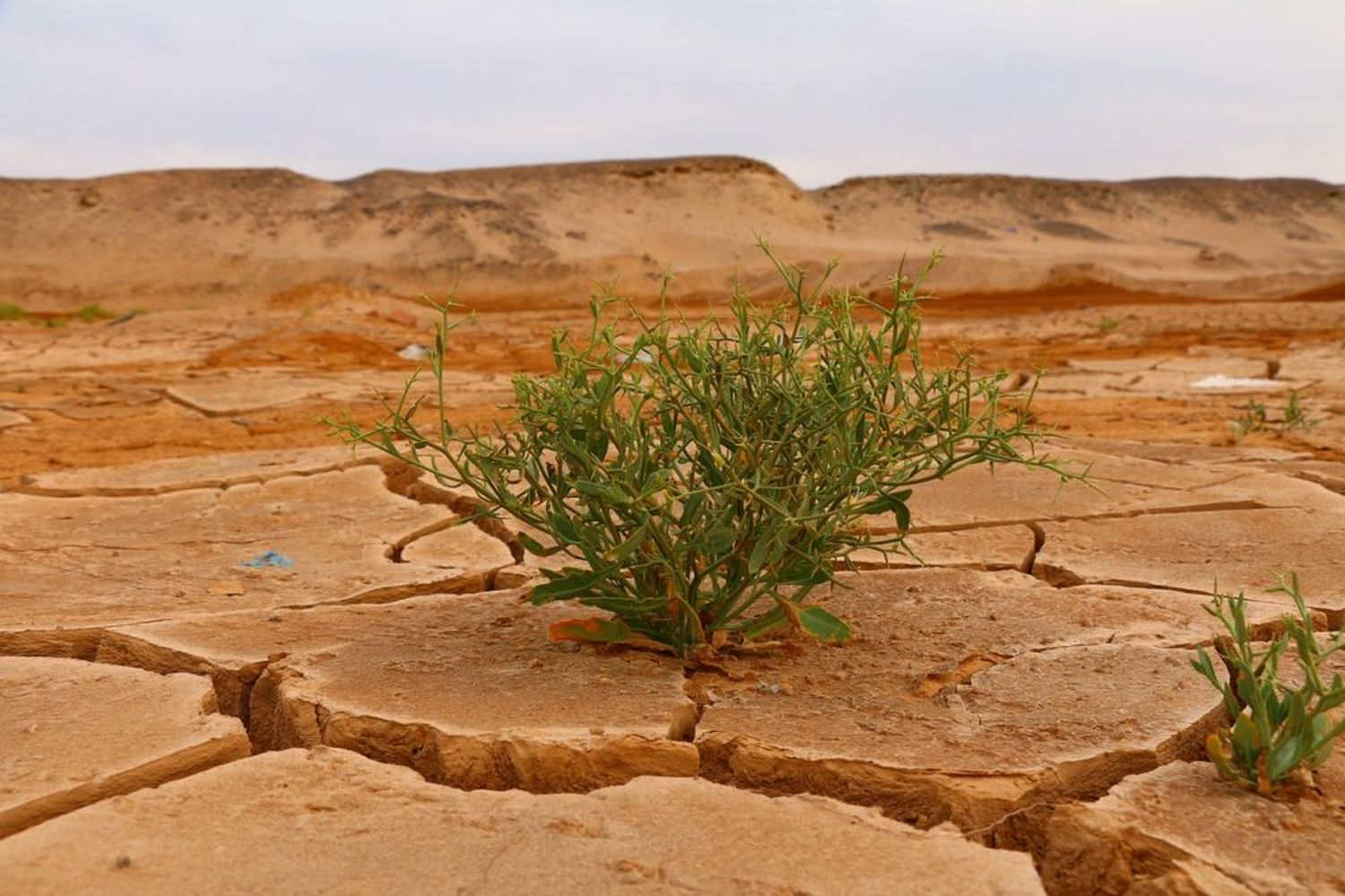 El cambio climático y las consecuencias en Argentina