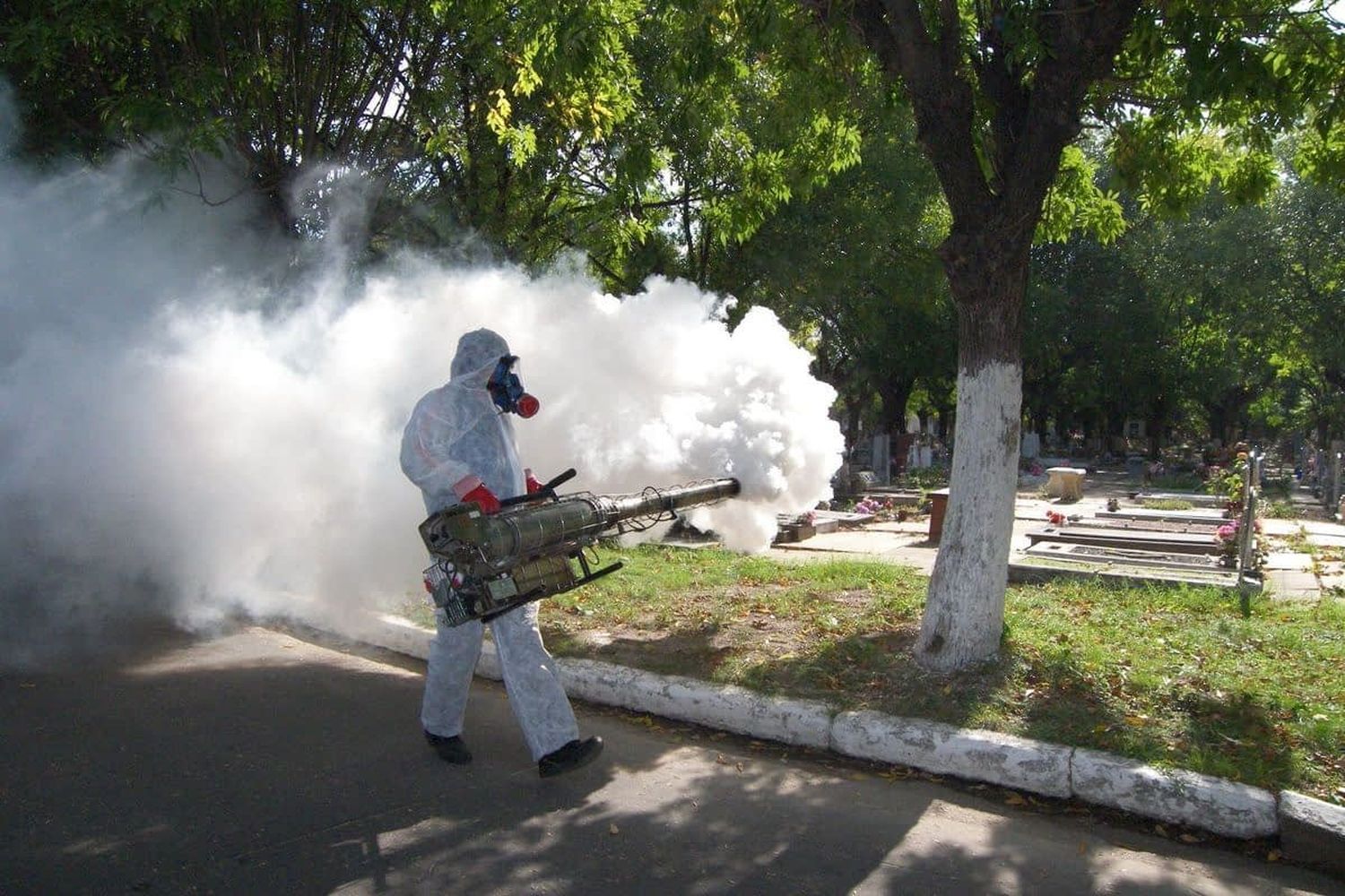 Acciones en territorio para prevenir otro brote de dengue