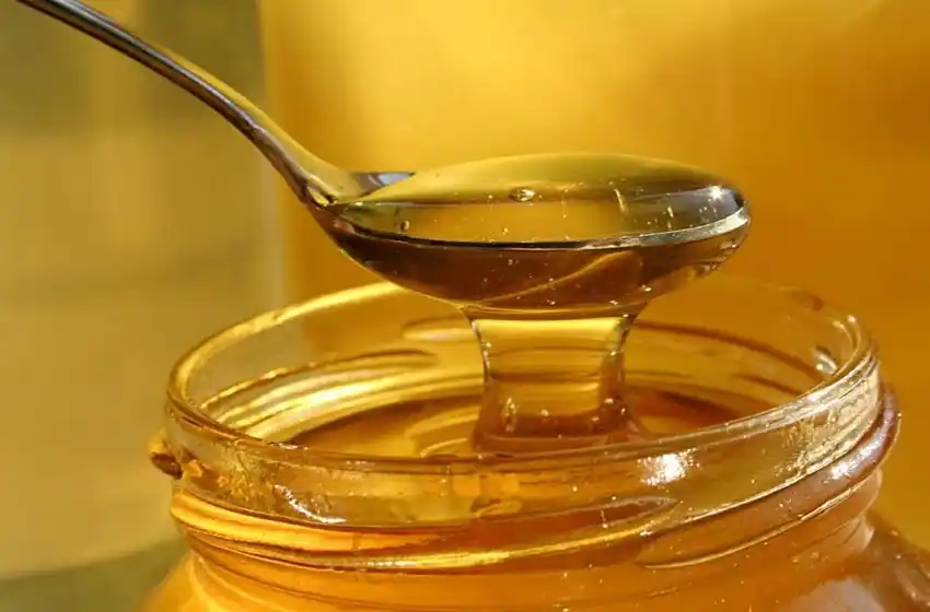 Peligra el envío de miel a Brasil por una plaga endémica