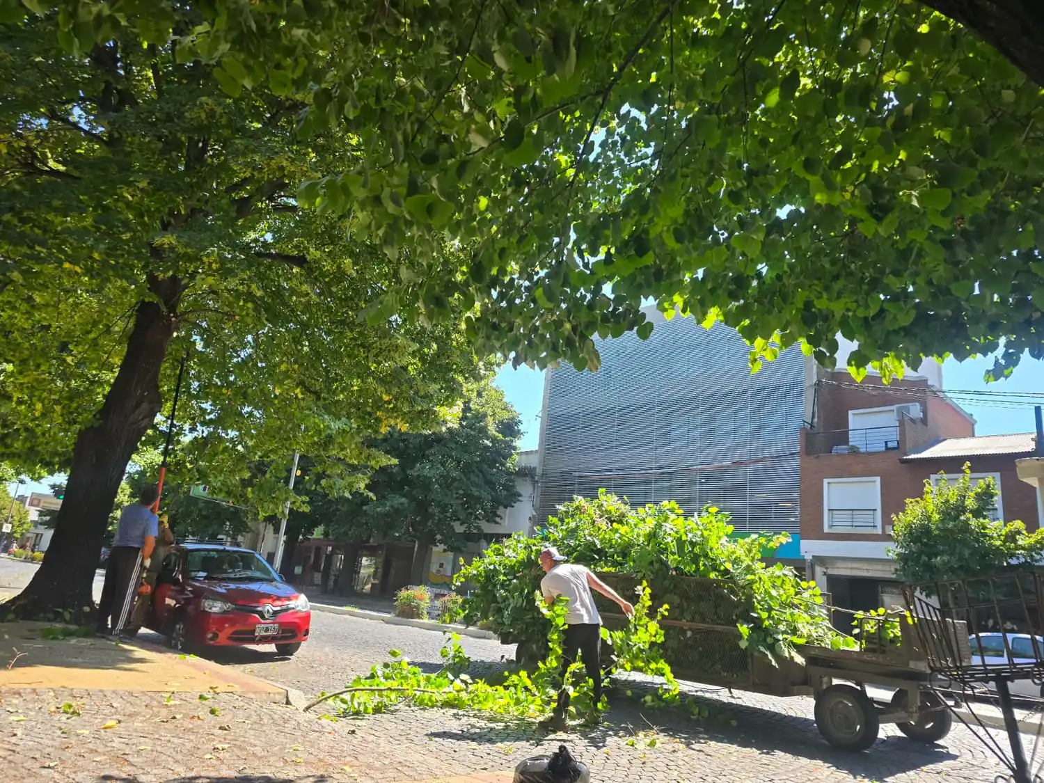 Comenzaron las tareas de poda de arbolado público en calle Yrigoyen.