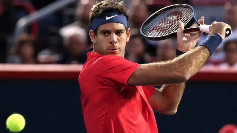 Del Potro quedó afuera del Master 1000 de Canadá