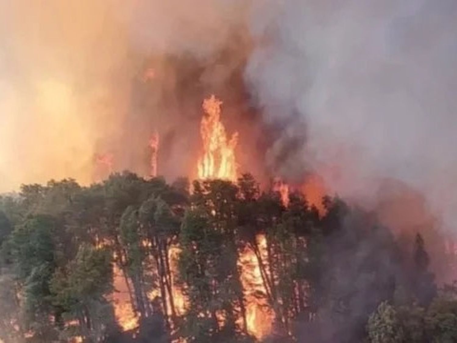 Incendios en Nahuel Huapi: hace casi un mes continúa el fuego en el área