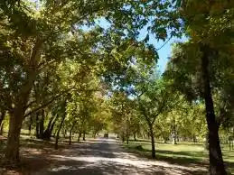 Se va el frío: pronostican una semana de buen clima y temperaturas de hasta 26ºC