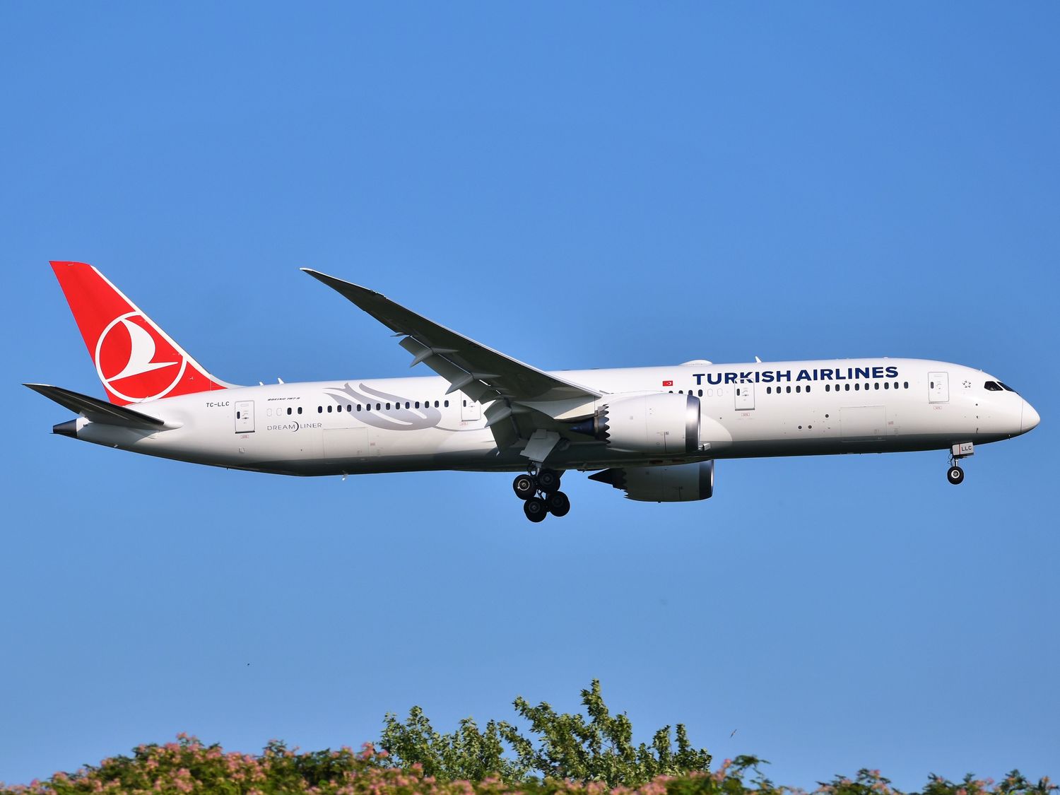 Turkish Airlines programa vuelos a Detroit