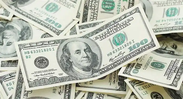 El Gobierno reducirá en un 50% la venta diaria de dólares