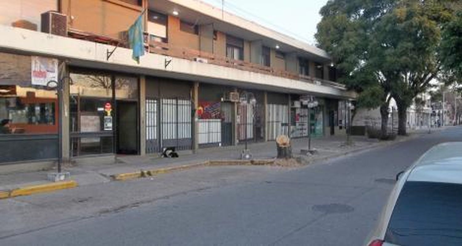 En la terminal también podaron