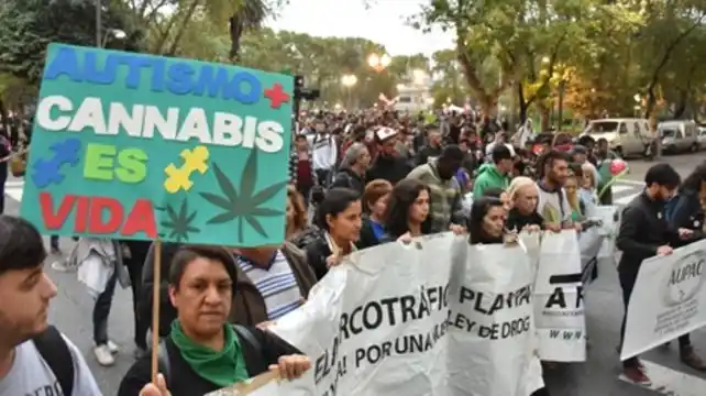 Unas 800 personas debaten el uso medicinal del cannabis