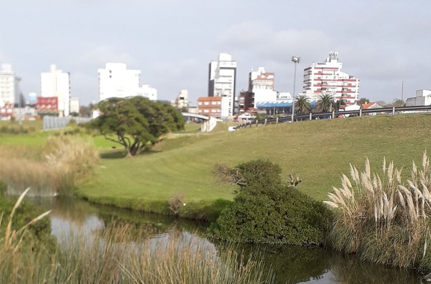 Proponen crear una mesa de trabajo para la "municipalización" del complejo Punta Mogotes