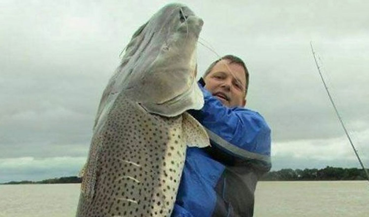 Pescadores capturaron un surubí gigante de 80 kilos en el río Paraná